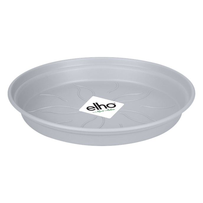 green basics saucer 29cm lila pálido